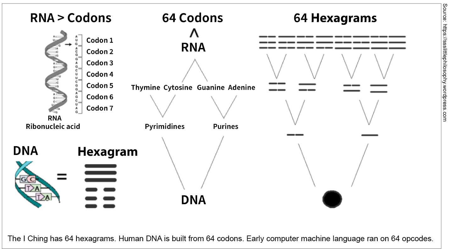 The I Ching has 64 hexagrams. Human DNA is built from 64 codons. Early computer machine language ran on 64 opcodes.